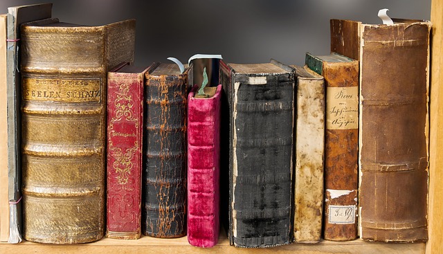 Van pen tot publicatie: een reis door literatuurgeschiedenis, boekgenres en boekbeoordelingen